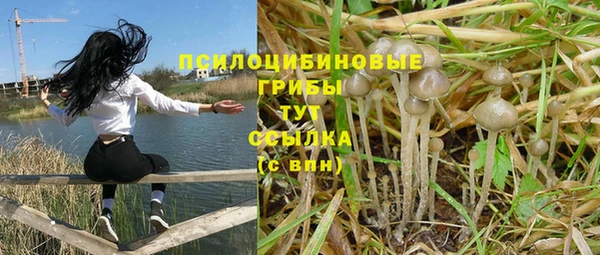 бошки Вяземский